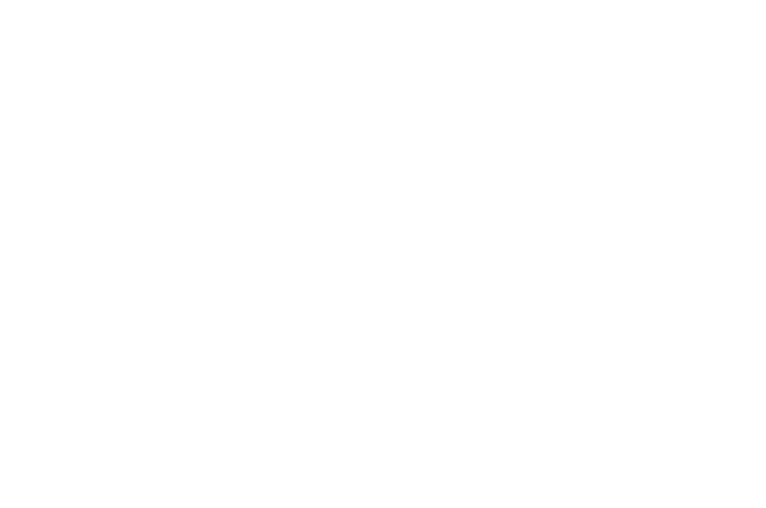 logo_header_brice_larrieu